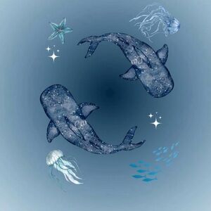 Meet your Posher, Bella